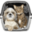 pet transporation - hp